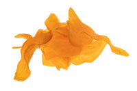 Chips camote natural